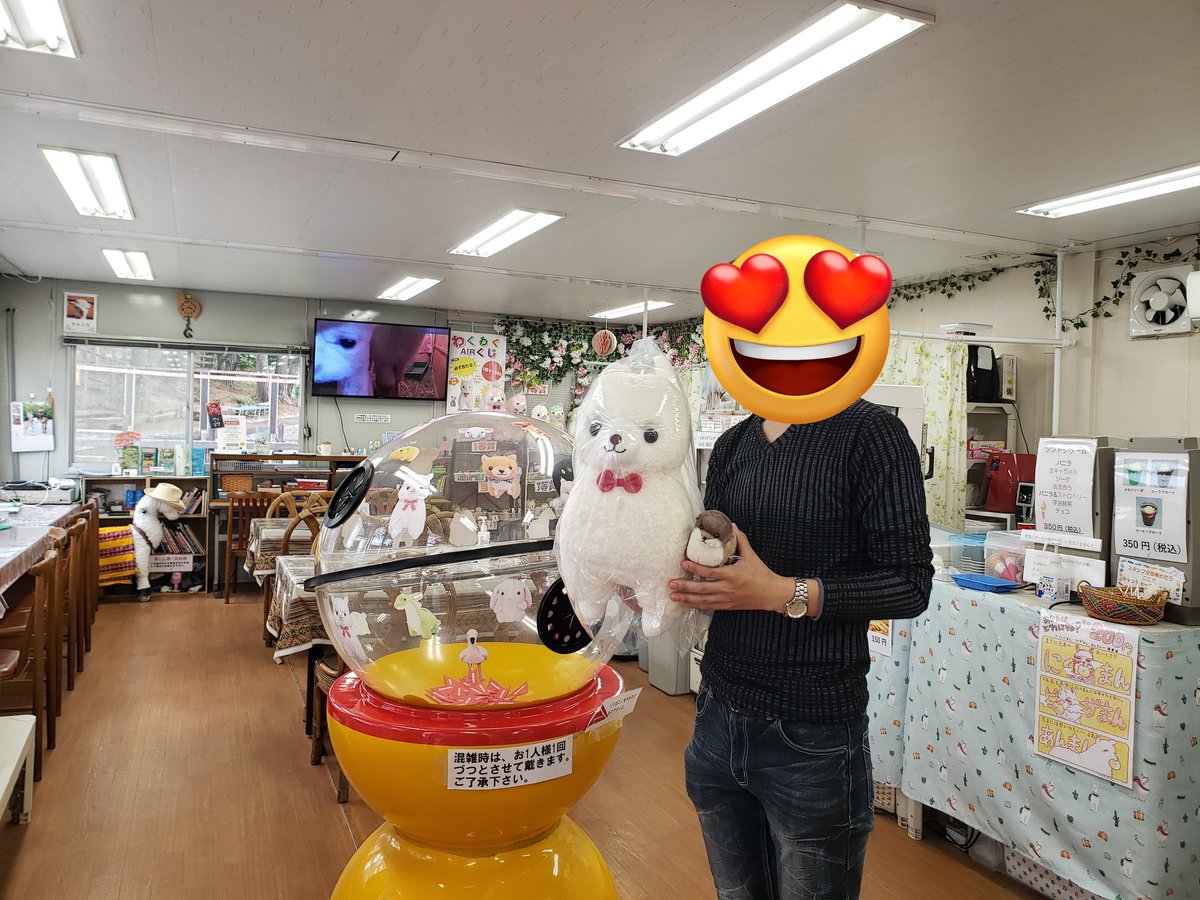 ipaka_'s tweet image. アルパカダービーで当てた商品券を更に賭事のくじ引きに使って一等を当てる男