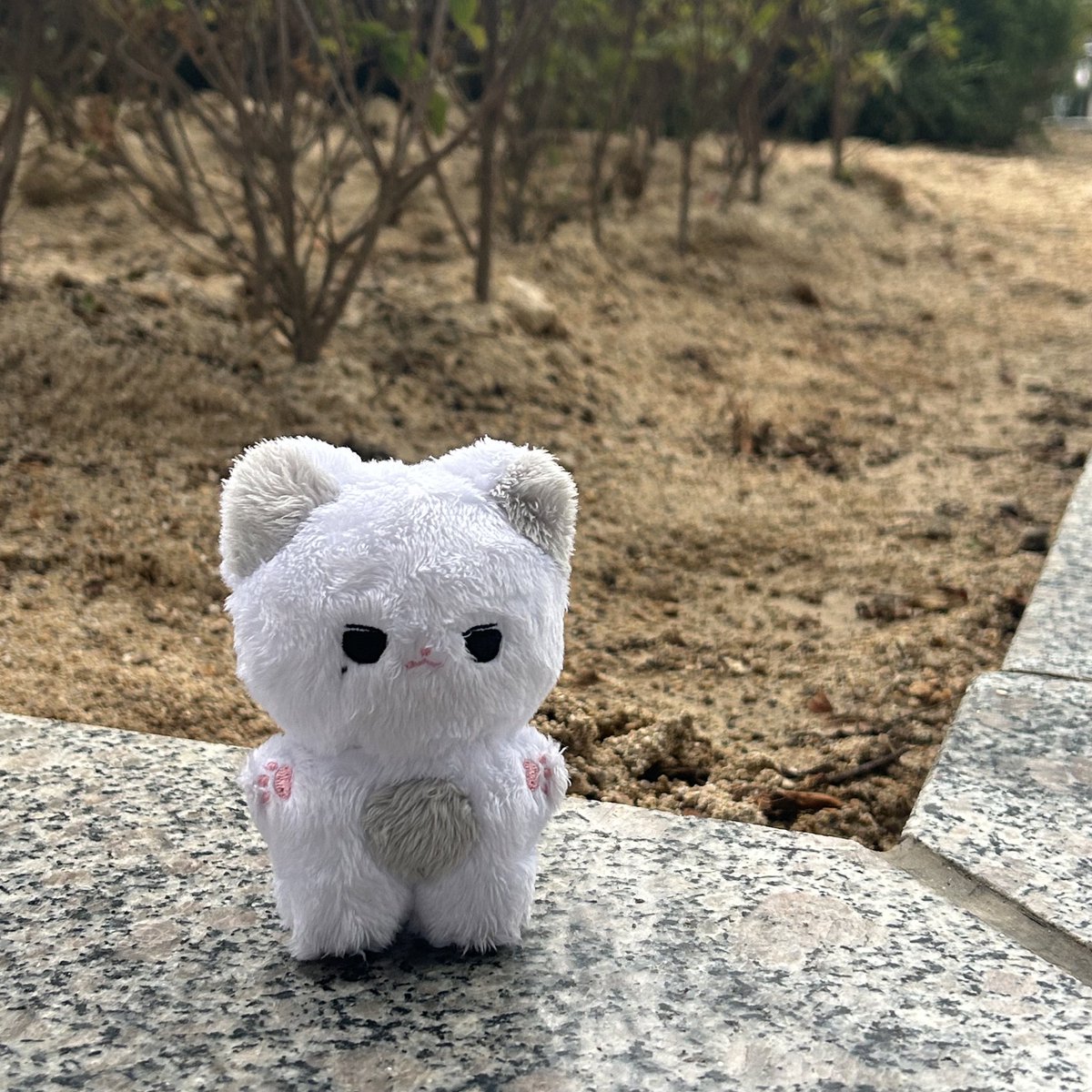 냥백이 tweet media