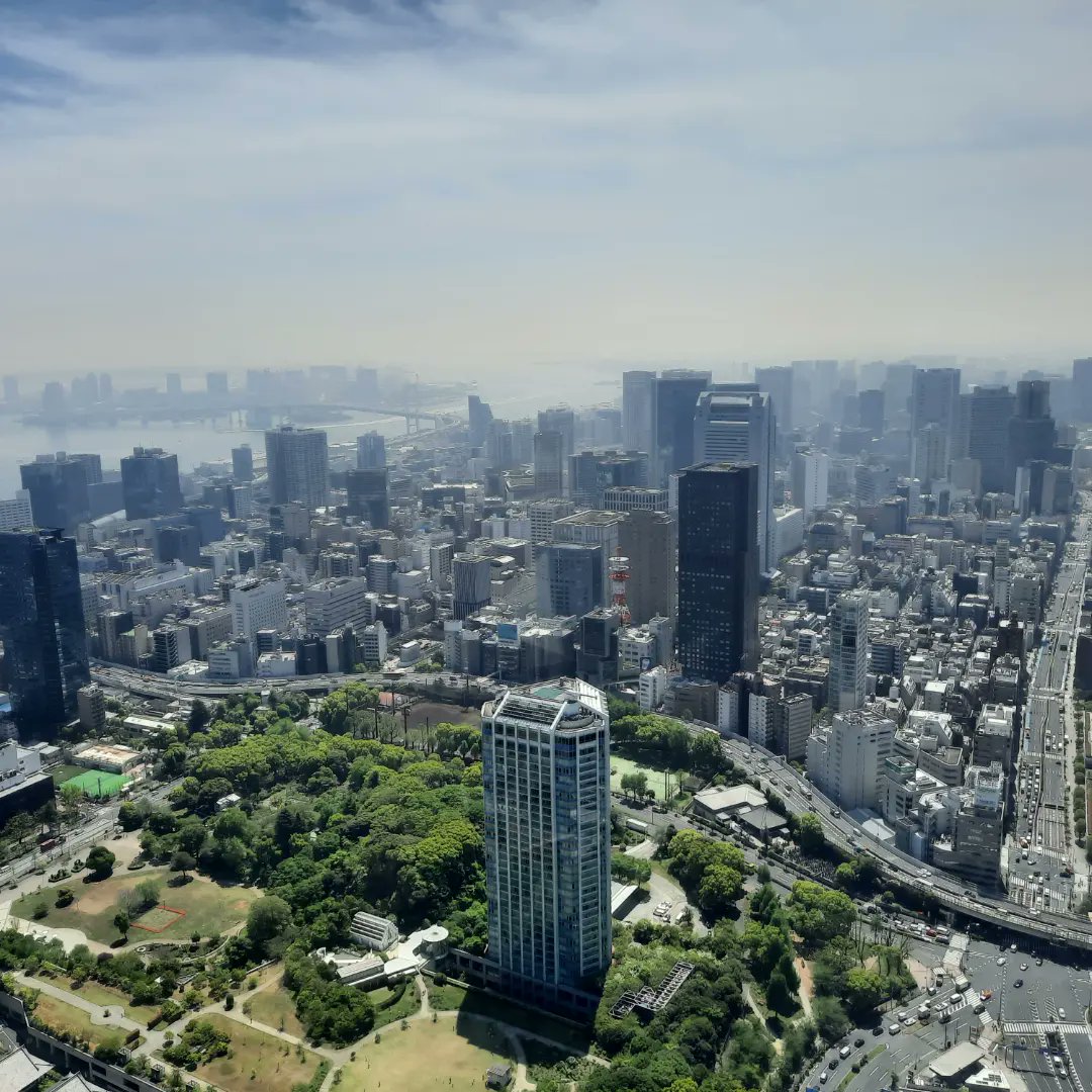 teaserette's tweet image. As Alice put it: &quot;This used to be Sakura&quot; 😊🌸
Pretty pretty pictures from #tokyotower 🗼
#Japan #Japanguide #Japantrip