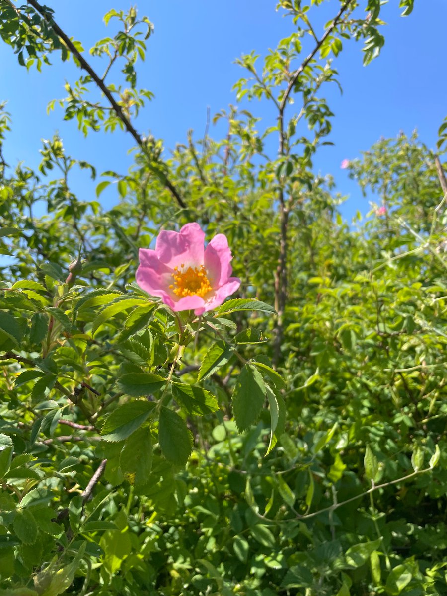 Sarah Snell-Pym tweet media