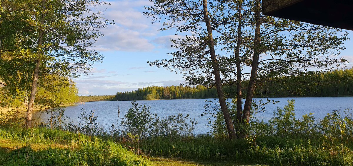 Heli Koponen tweet media