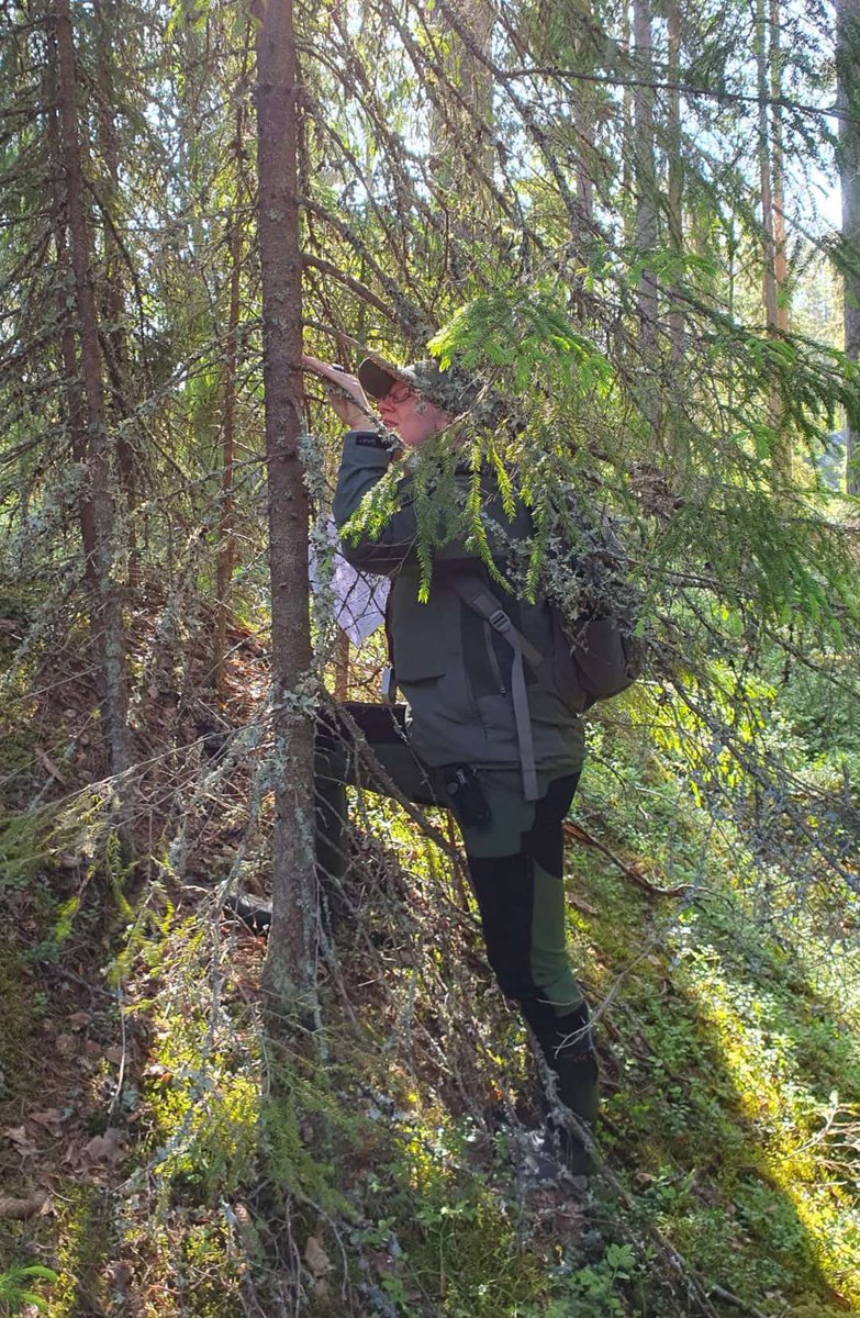 Heli Koponen tweet media