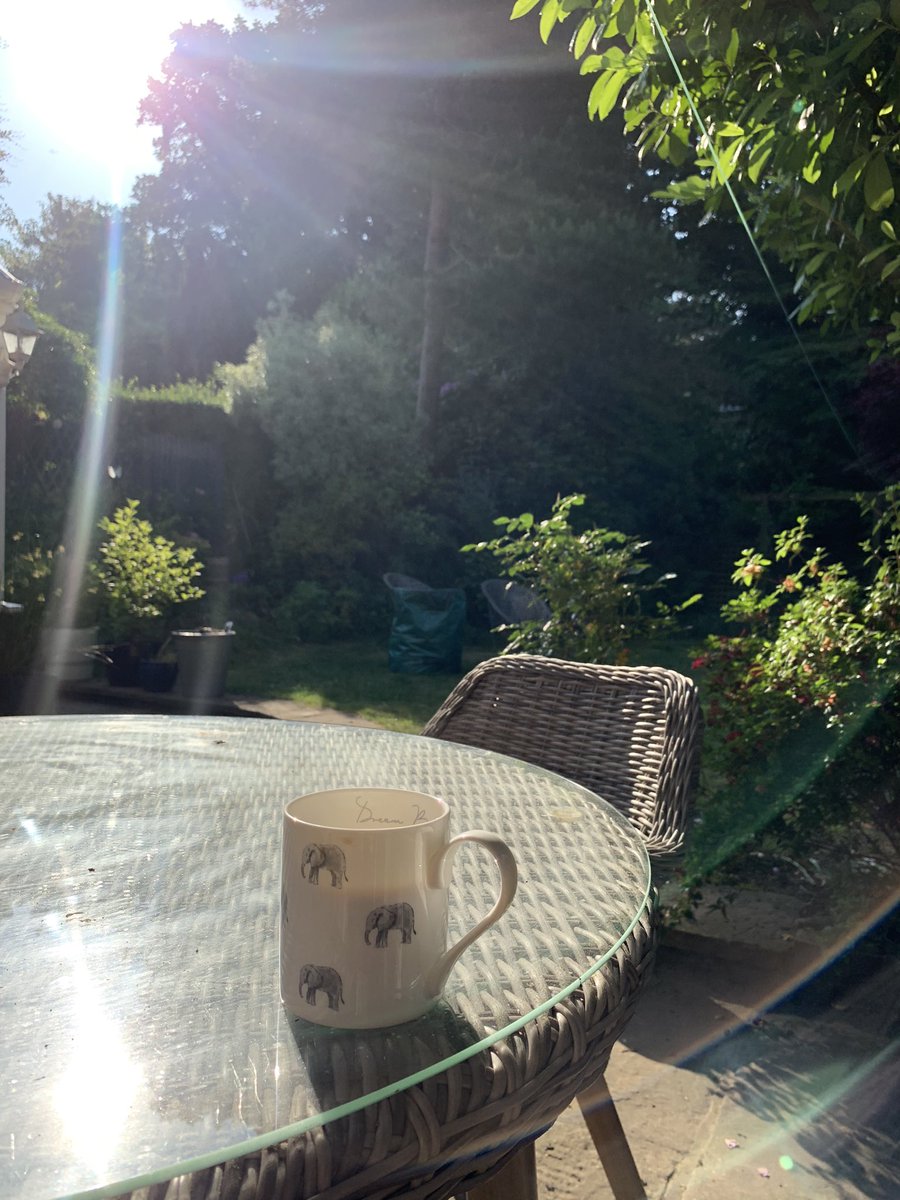 Andrea Newman tweet media