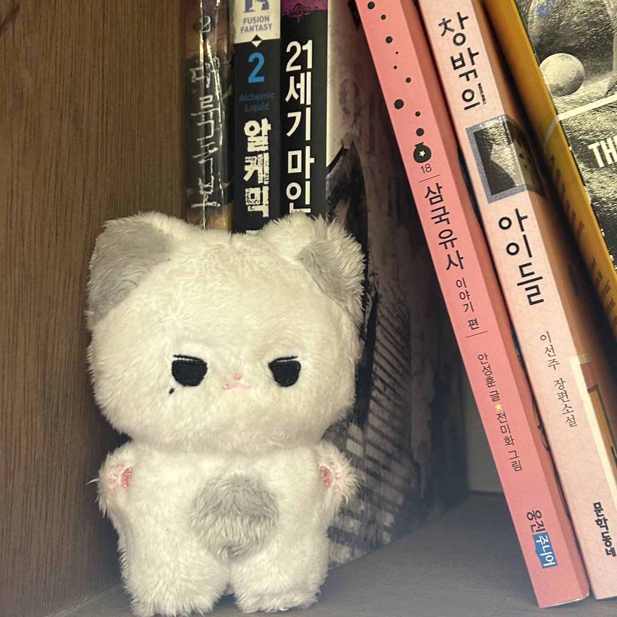 냥백이 tweet media