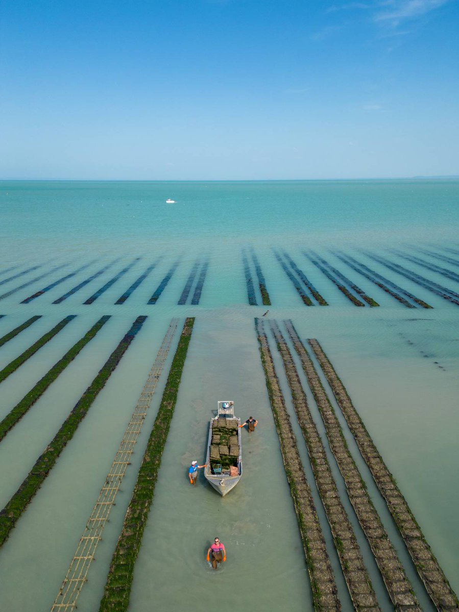 David Bertho tweet media