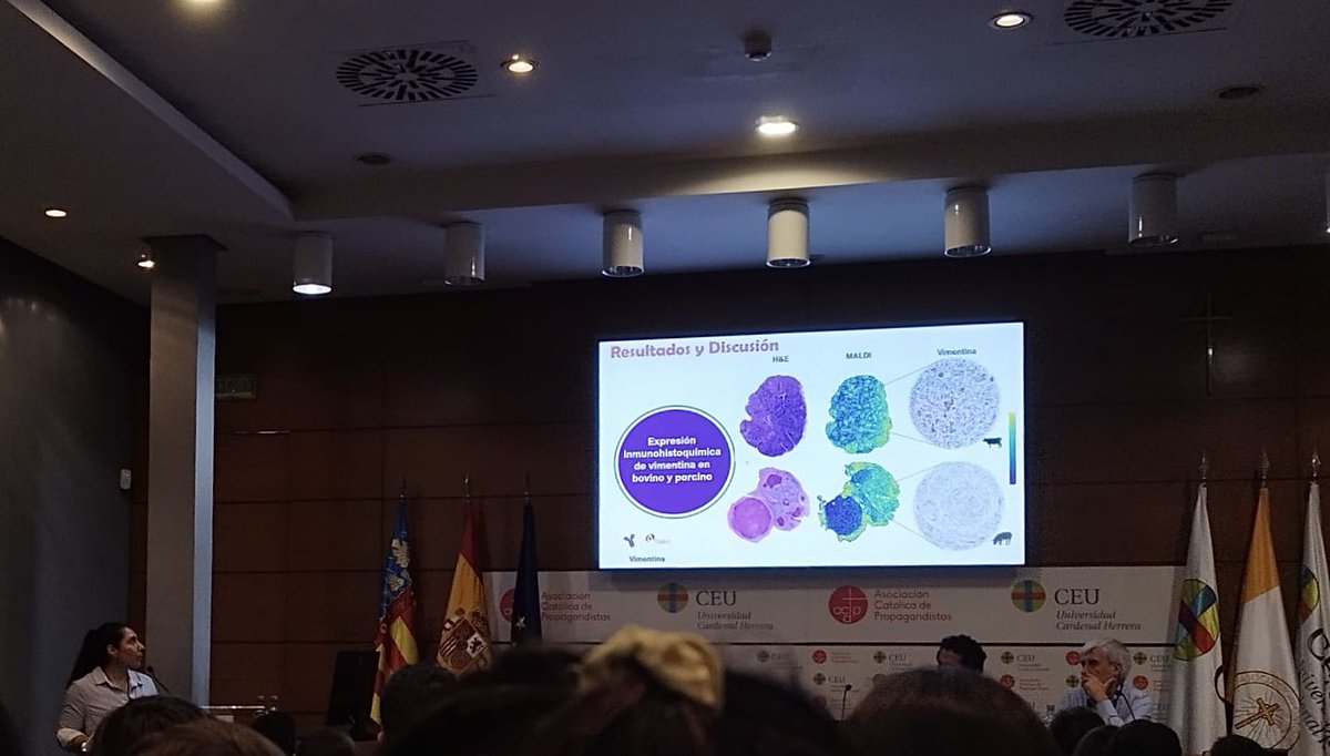 uco_pig's tweet photo. Fernanda Larenas-Muñoz ha presentado en la XXXIV Reunión de la #SEAPV una comunicación oral sobre MALDI-MSI como una herramienta para en análisis comparado de la firma proteica de granulomas tuberculosos en bovino y porcino. Felicidades!!💪🏼👏🏻 @uchceu @VeterinariaUCO https://t.co/fHHyJvzs9L