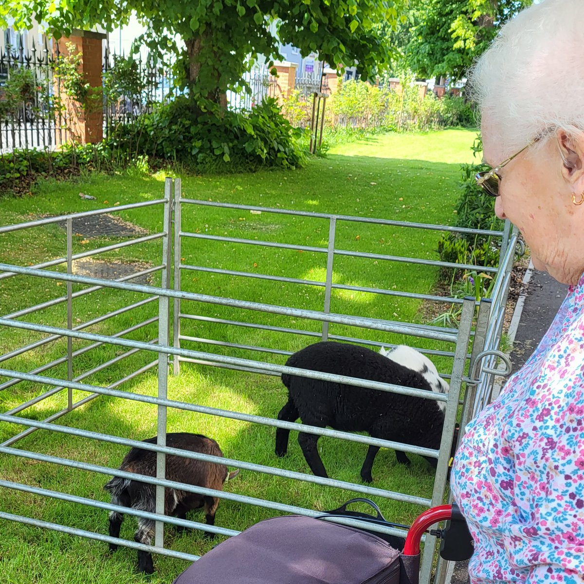 Residents at #AdmiralJellicoeHouse have recently enjoyed semaphore messaging, parachute games in the garden, foil scratch art and a visit to @PHDockyard. Everyone enjoyed interacting with the lamb and baby goats when they visited! Discover more here: bit.ly/3LUZUER