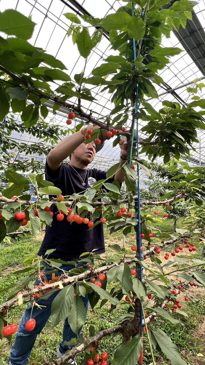 takeidongebabee's tweet image. FM NACK5
本日のキャンプリポートは
秩父にある秩父ファームステイからお届け🏕️✨18：12頃〜
聴いてねー📻
#pscc
 #キャンプ