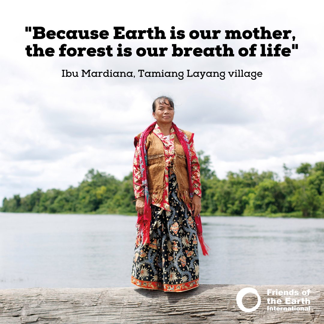 FoEint's tweet photo. Over 160,000 people in Indonesia are living proof that #CommunityForestManagement is unrivalled as a way to protect forest biodiversity, provide clean air and water, healthy and decent livelihoods. Find the case study on our #PathwaystoSystemChange report: https://t.co/9G0OiDR0Qr https://t.co/R1T9Sk4fFr