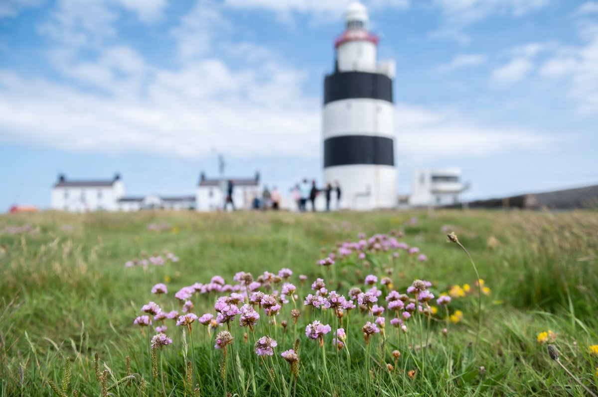Is time by the sea on your ‘to do’ list this weekend?…
It’s definitely on ours 😄

#Wexford #Ireland #Lighthouse #VisitWexford #GreatLighthouse #DiscoverIreland #Hook #HookPeninsula #Cafe #Sea #coast #Irish #BeautifulDestinations  #HookLighthouse #keepdiscovering
