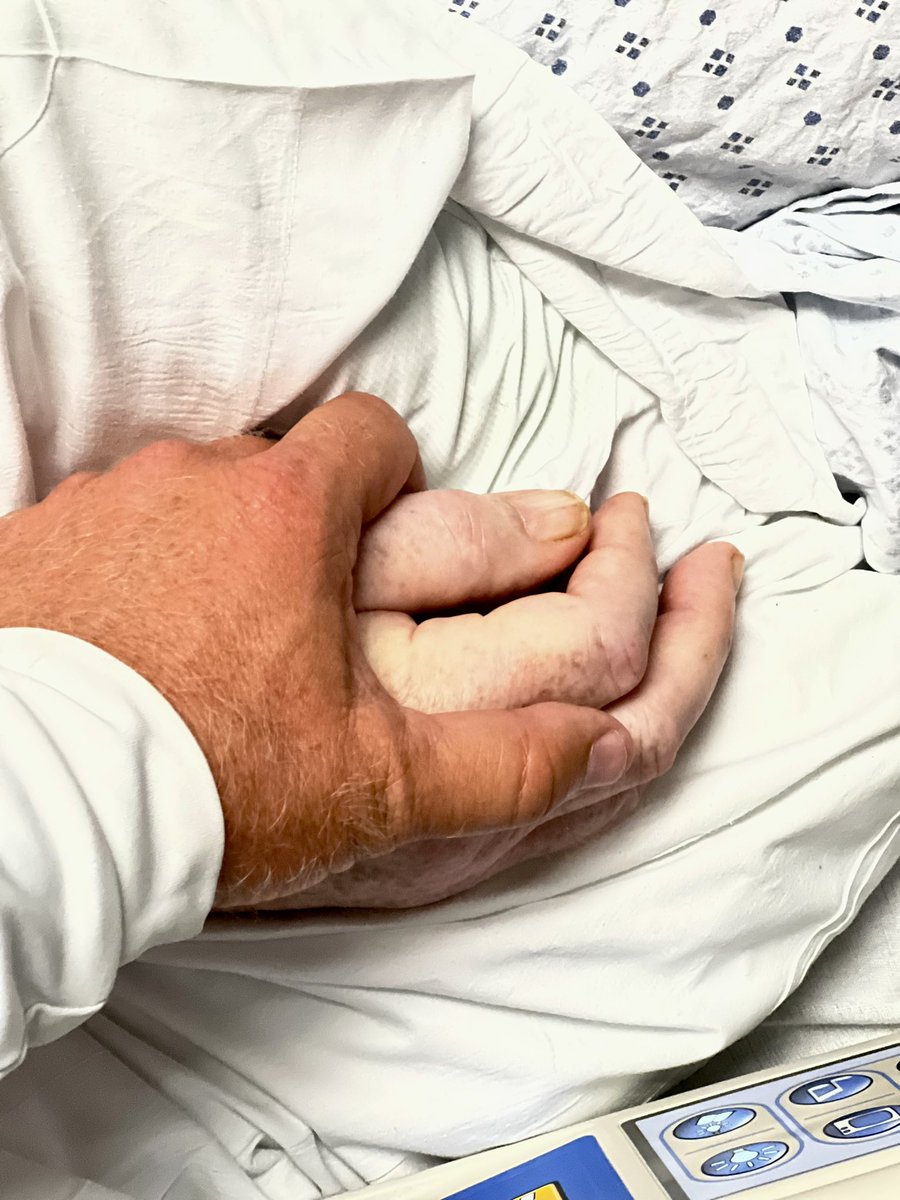 Trent Mongero tweet media