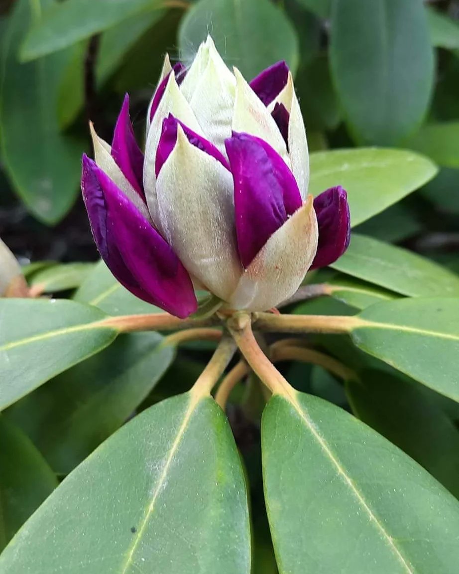 Helen Grey (@greyperky) on Twitter photo 