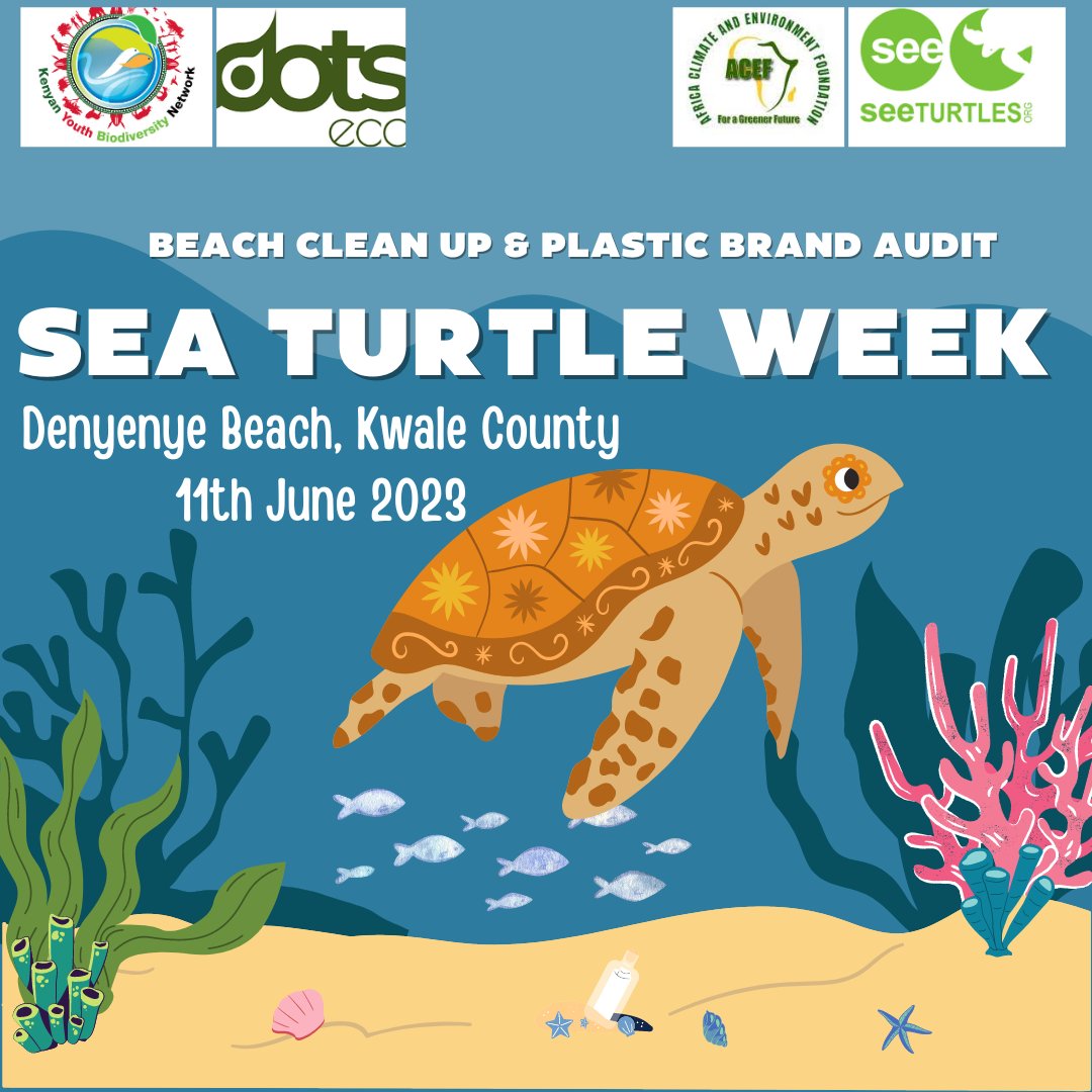 We are at the South Coast again, this weekend!

Together with @DotsEco, @SEEturtles, @ACEFngo, students from Ukunda Vocational Center,  and beach management units, are securing the future of endangered sea turtles by making their habitats less plastic-y.

#SeaTurtleWeek