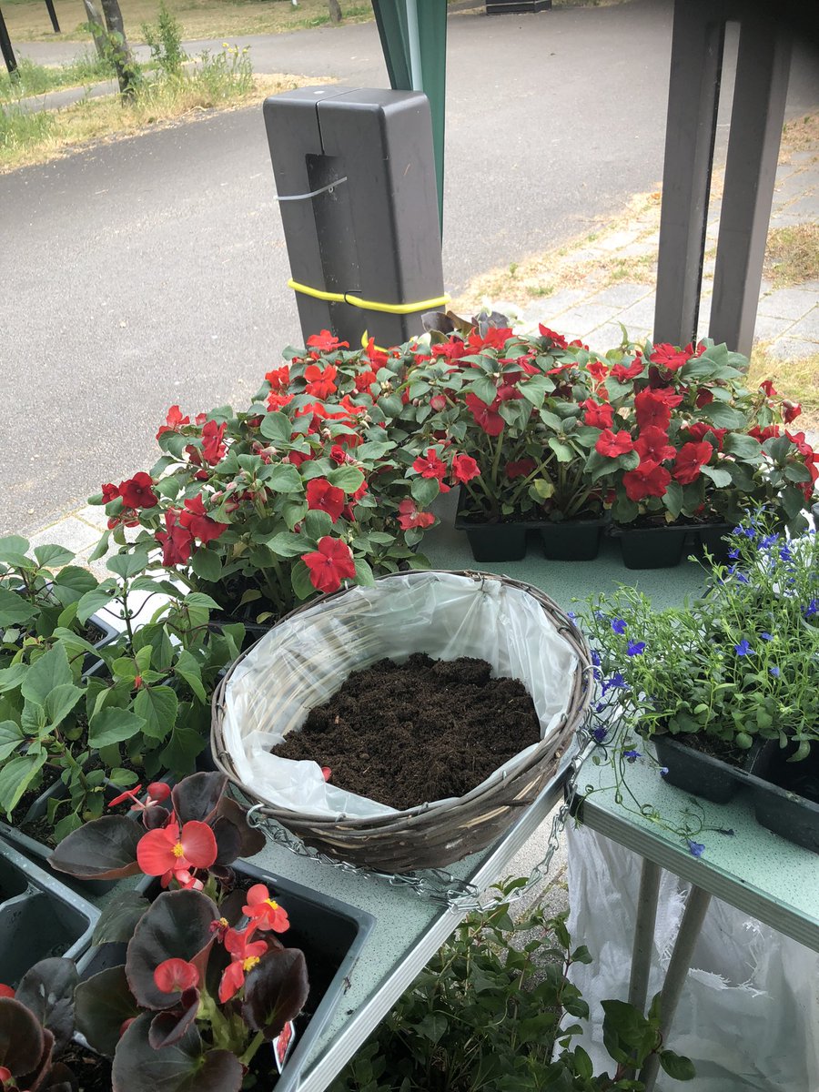 tracydearing70's tweet photo. Loved meeting so many residents and families at out Hanging Basket events this week! https://t.co/xAsLsFLd5Z