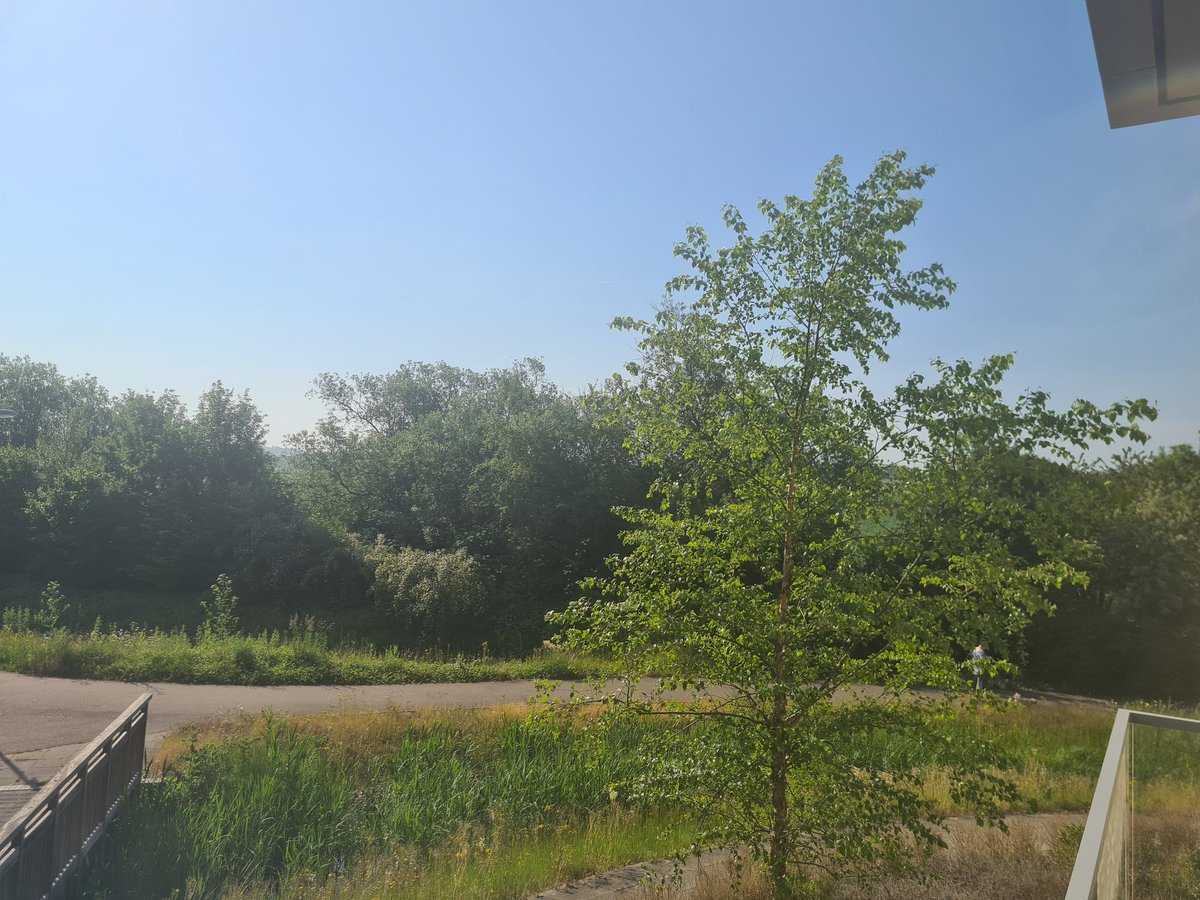 Keith McAdam 🏴󠁧󠁢󠁳󠁣󠁴󠁿 tweet media