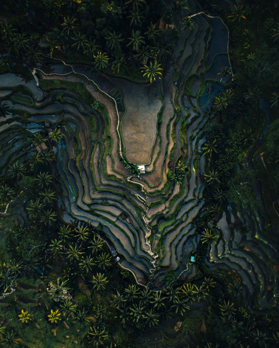 Don't frown, even when you are sad, because you never know who is falling in love with your smile.  <a href="/VitoBerkeley3/">Vito Berkeley</a>  <a href="/budimanguci/">Budiman</a>  <a href="/EliMorr51998429/">drnary.eth</a>