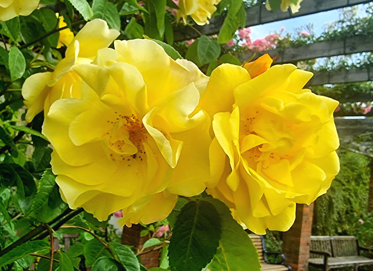 Happy weekend! 🌹🌞🌹

#nature #relax #calmcado