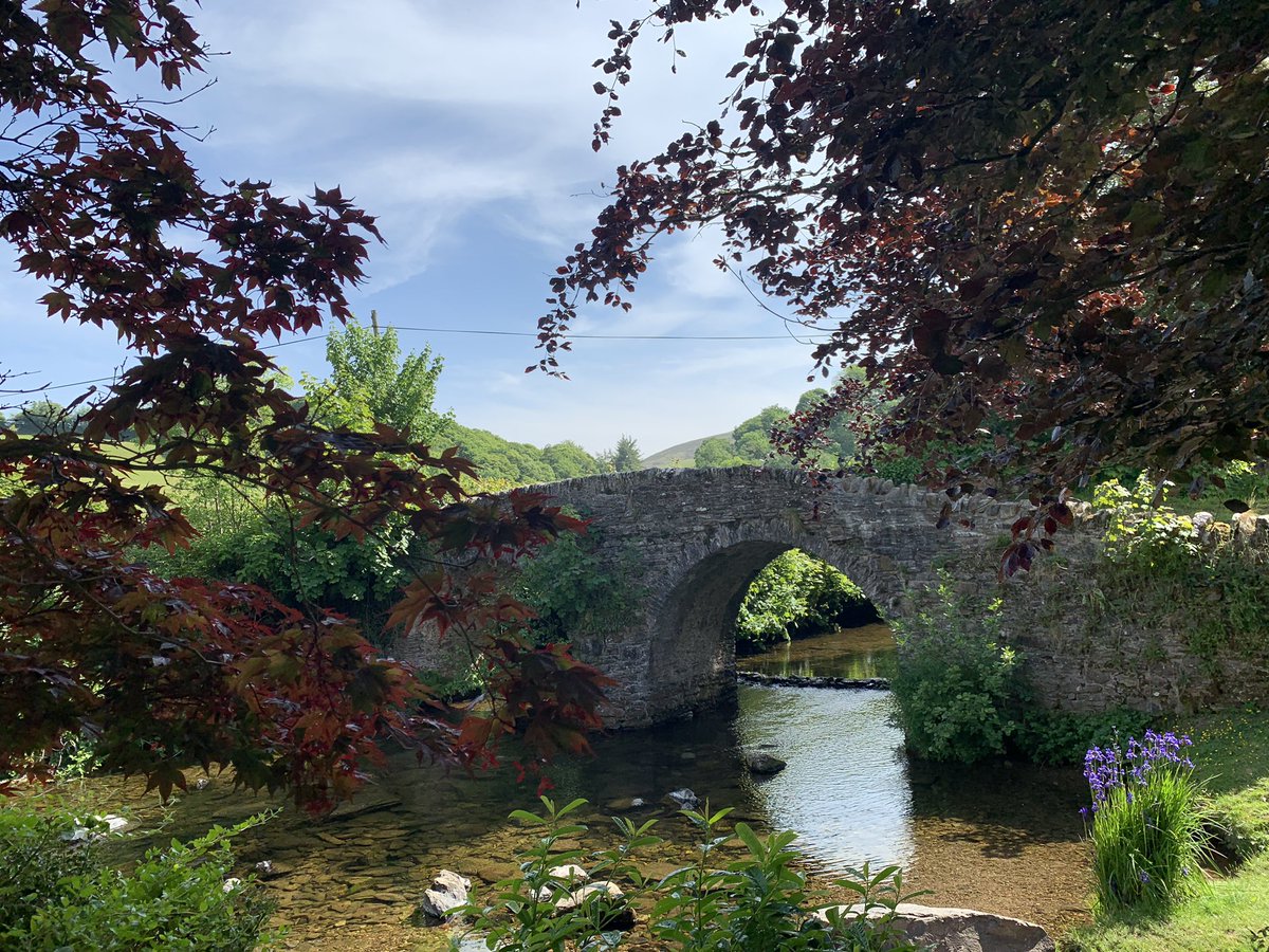 Day 162. Mystical Lorna Doone Valley, a little two arched stone bridge, over the river, swallows swooping, copper beeches gleaming. Stepping back in time. Happy sigh. #NorthDevon #Exmoor #LoveDevon #SouthWest #SaltPath