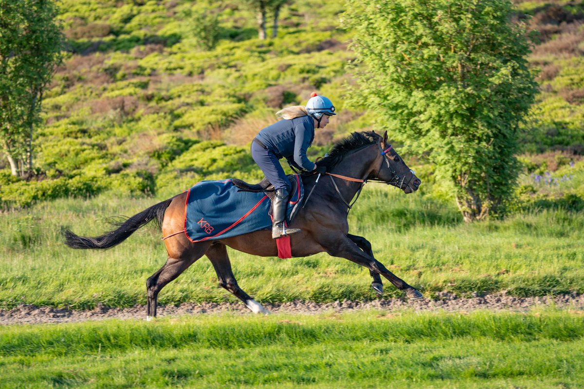 Jon Hughes tweet media