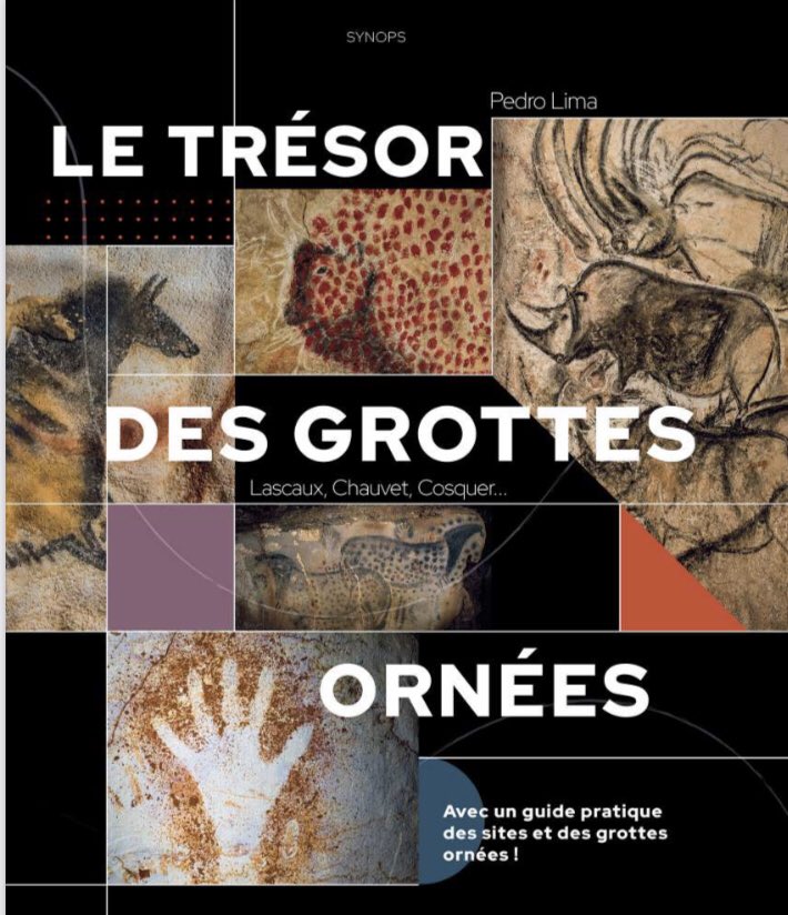 Synops Editions tweet media