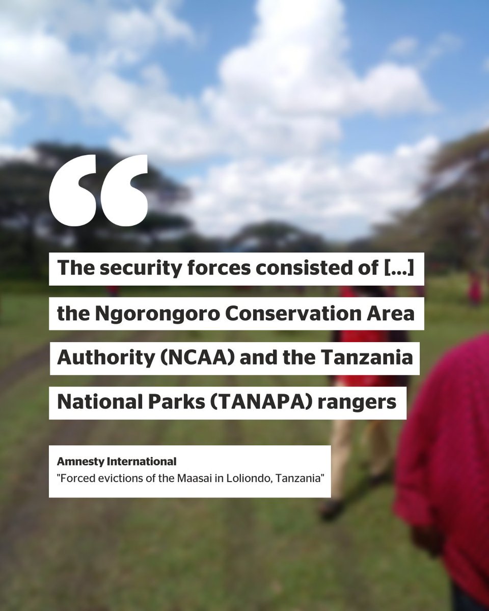 #OTD in 2022, thousands of Maasai in Tanzania were violently evicted from their land in the name of conservation.

The German gov & @FZS_Frankfurt have supported the authorities in #Tanzania for years, pushing a conservation model that allows violent evictions.
#MaasaiShallNotDie