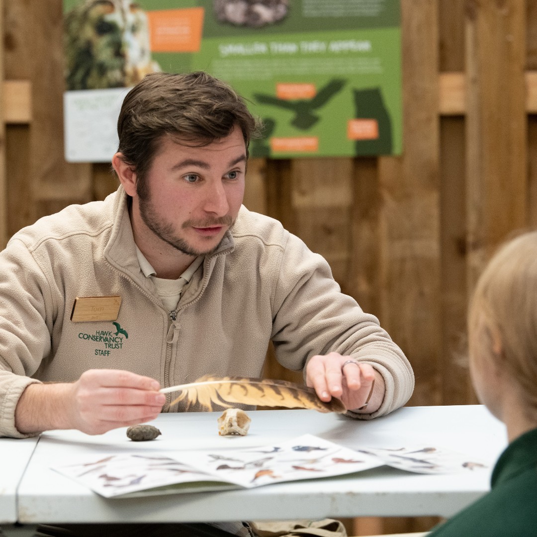HawkConservancy's tweet photo. INTERNSHIP OPPORTUNITIES AT THE TRUST! 💚

Applications are open for our Conservation Internships. This is a fantastic opportunity to gain valuable experience and skills in conservation, research and education! #ScienceSaturday

Find out more and apply: https://t.co/x8AkjFEBrJ https://t.co/qjLpZfhhv9