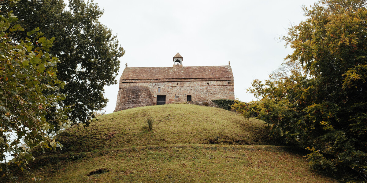 I love Jersey tweet media