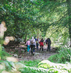 lakedistrictnpa's tweet photo. It's set to be extremely hot 🌡️ in the #LakeDistrict this weekend. Why not try a less strenuous, low-level walk rather than heading out onto the fells?  We have 50 miles without stiles routes for inspiration. Here: https://t.co/a19oCoeJk3 https://t.co/ndD4ooKYfb