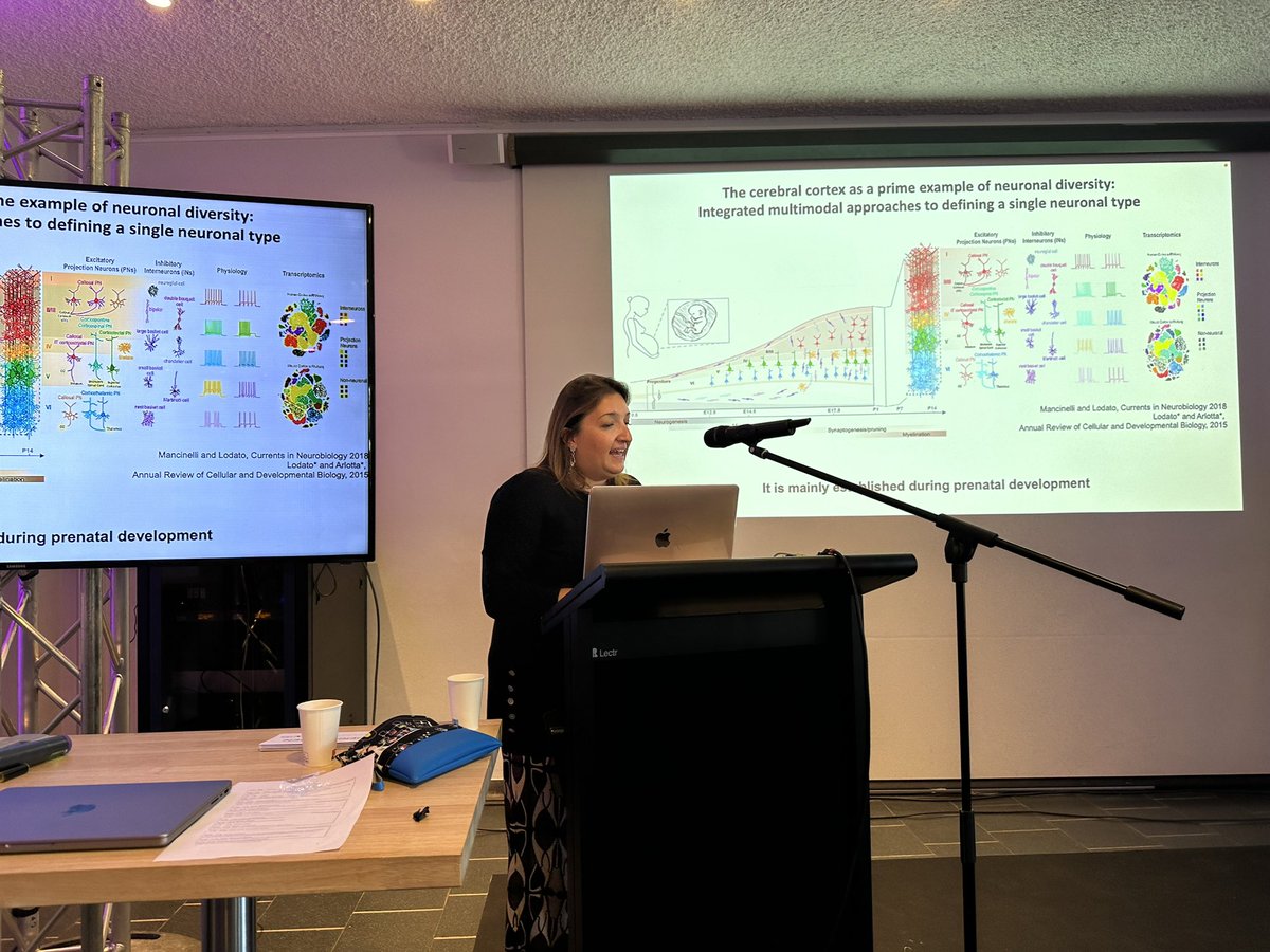 Laurent Nguyen (@neuroliege) on Twitter photo Spring RBSCDB meeting 2023 - Stem Cells and cortical development - fantastic science 🧠 and perfect weather ☀️ <a href="/BSCDB1/">RBSCDB</a> <a href="/frsFNRS/">F.R.S.-FNRS</a> <a href="/GIGA_ULiege/">GIGA-ULiège</a> <a href="/Sergiu_P_Pasca/">Sergiu P. Pasca</a> <a href="/LodatoS_Lab/">Simona Lodato</a> <a href="/HippenmeyerLab/">Simon Hippenmeyer</a> <a href="/MichelCayouette/">Michel Cayouette</a> @VanderhaeghenP2 @EveSeuntjens <a href="/Dev_Gen_Lab/">Bellefroid Lab</a> Spring RBSCDB meeting 2023 - Stem Cells and cortical development - fantastic science 🧠 and perfect weather ☀️ <a href="/BSCDB1/">RBSCDB</a> <a href="/frsFNRS/">F.R.S.-FNRS</a> <a href="/GIGA_ULiege/">GIGA-ULiège</a> <a href="/Sergiu_P_Pasca/">Sergiu P. Pasca</a> <a href="/LodatoS_Lab/">Simona Lodato</a> <a href="/HippenmeyerLab/">Simon Hippenmeyer</a> <a href="/MichelCayouette/">Michel Cayouette</a> @VanderhaeghenP2 @EveSeuntjens <a href="/Dev_Gen_Lab/">Bellefroid Lab</a>