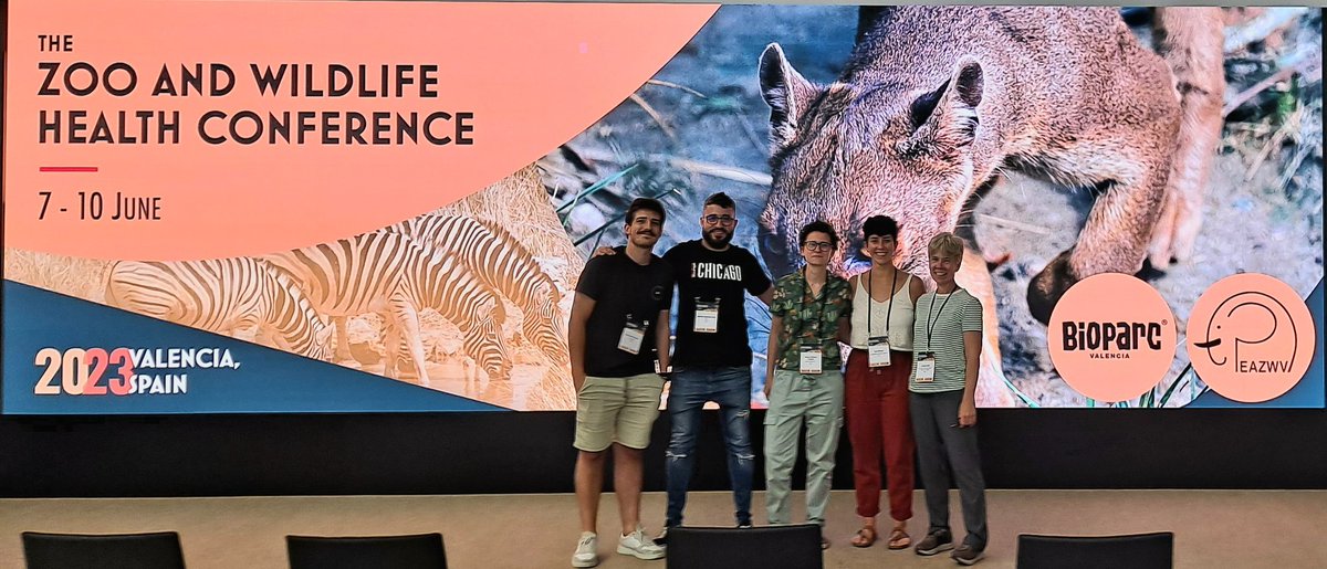 The @Birdpath_IREC team at #SaBio @IREC_CSIC_UCLM at the Zoo and Wildlife Health Congress of the #EAZWV in Valencia. Showcasing our work, networking and meeting friends! #avianinfluenza #antibiorresistan #vulture #sparrow #hubara #Antimicrobialresistance