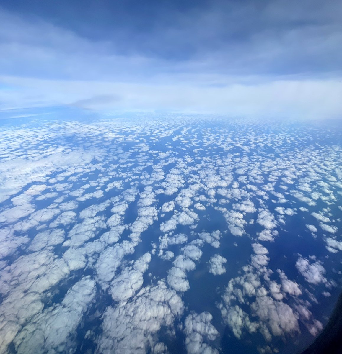 Aurelian Giles tweet media