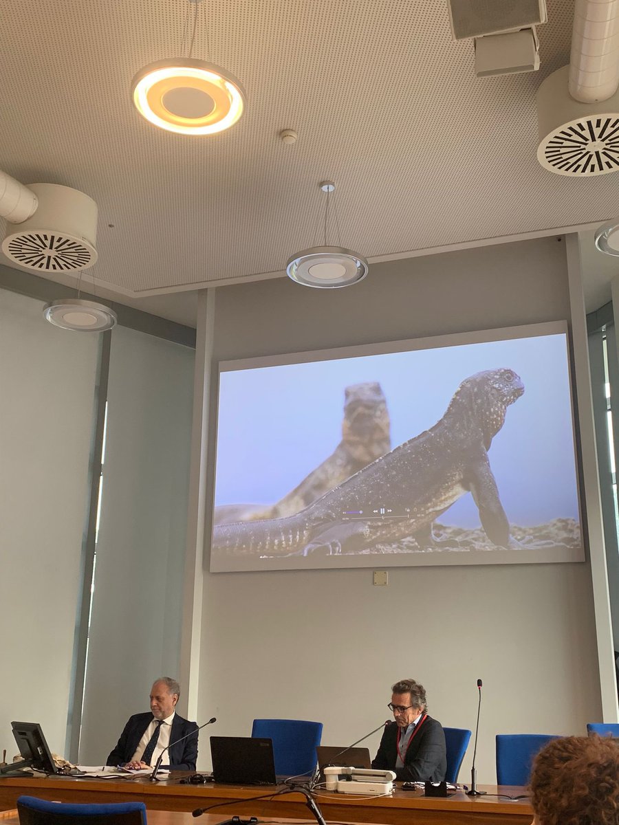 AssoComPol's tweet photo. We are starting this morning discussing about “Digital Governance by the generalized other” in the panel “Ethics and policies of digital platforms” by Alarcón González, Universidad Nacional de Educación a Distancia.
#compol23 https://t.co/ClUEf6PLQ8