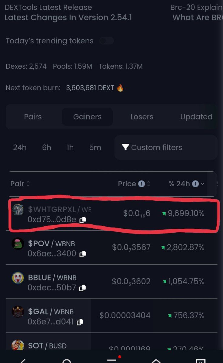 WHITE TIGER PIXEL tweet media