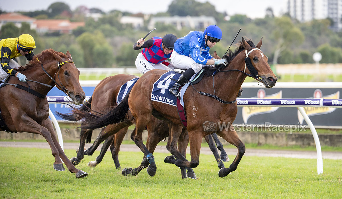 WesternRacepix's tweet photo. LAST OF THE LINE - 2023 Strickland Stakes (Group 3) @PerthRacing #WesternRacepix #BelmontParkPerth

More 📸 https://t.co/XhRFkjZsIp https://t.co/SjLNhDMtbu