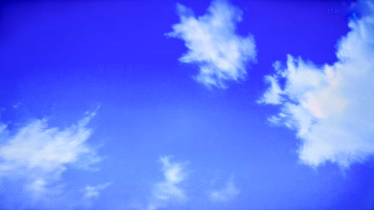 🐾オフレット🐾 on Twitter 