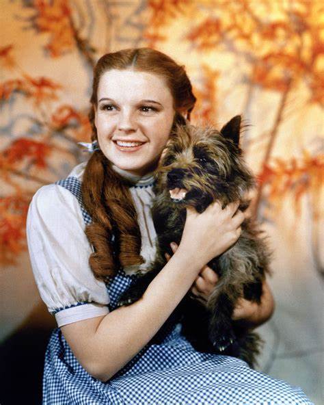 JUDY GARLAND was Born on this day. Sometimes I feel like The Wizard of oz here