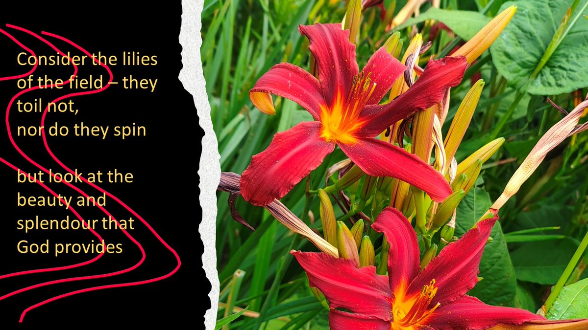 The latest news from St. Anne's with St. James' on this sunny day.- mailchi.mp/6b14f6d00a3e/s…