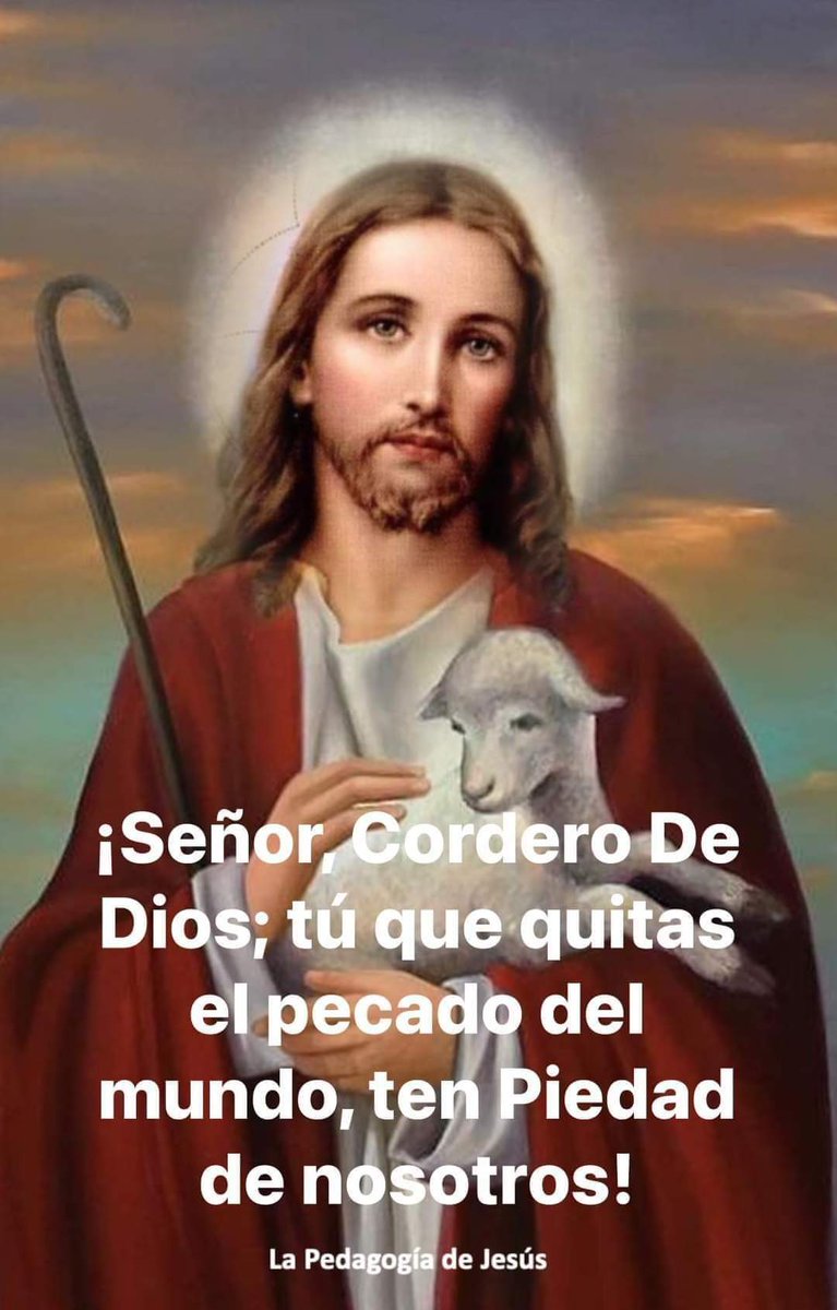 Arturo Perez (@arturop01979294) on Twitter photo 