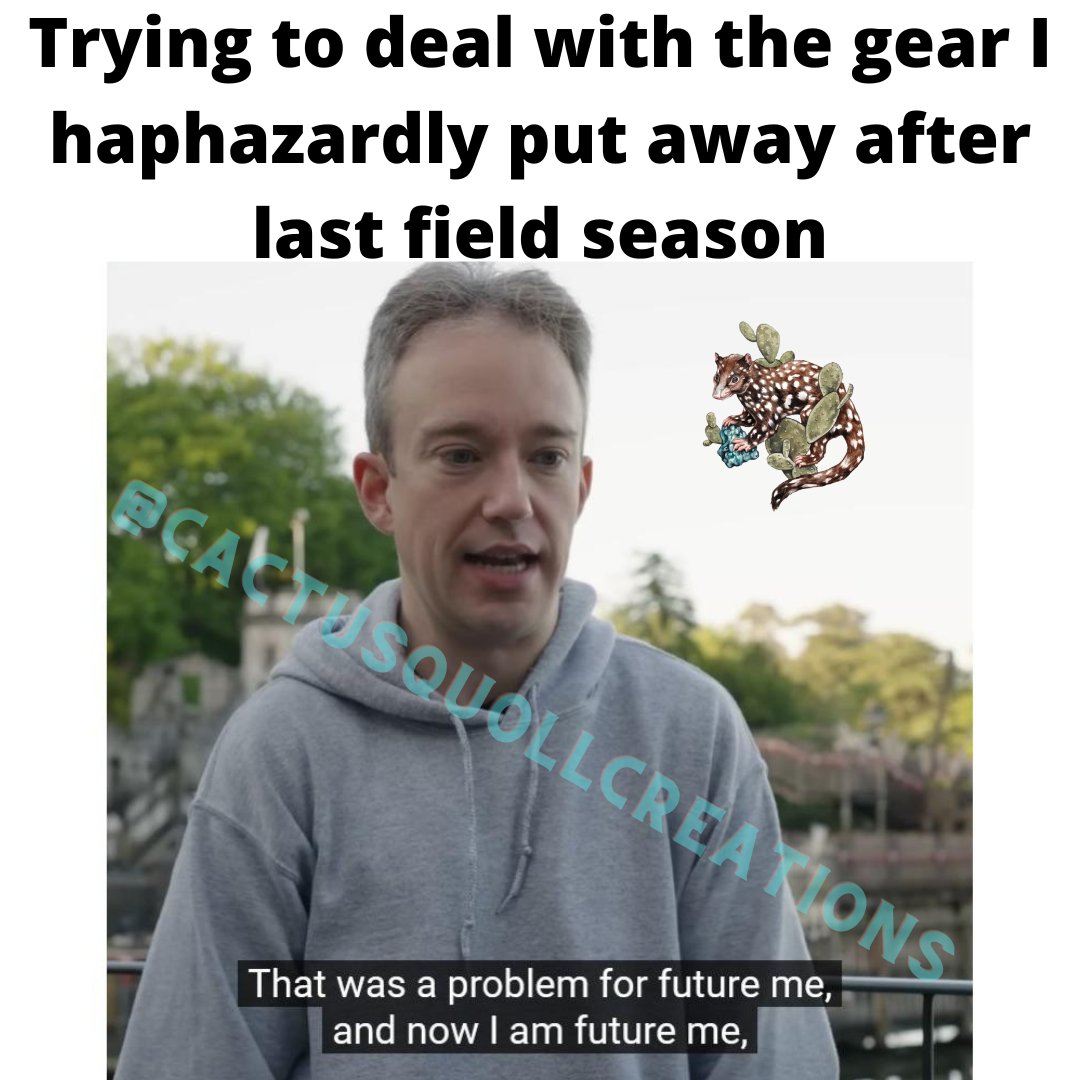 Gael Sanchez (she/her) (@cactusquoll) on Twitter photo 