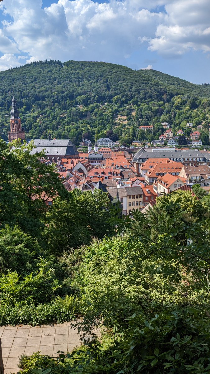 MattWeissenberg's tweet photo. Nothing lasts forever and this trip is no exception. Heidelberg is a nice city, but four days definitely feels like overkill. Currently on a train back home. I've to say I miss my own bed. https://t.co/YNln1bOx2C