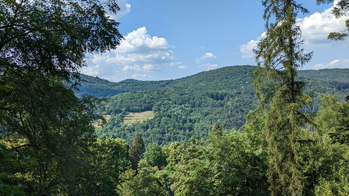 MattWeissenberg's tweet photo. Nothing lasts forever and this trip is no exception. Heidelberg is a nice city, but four days definitely feels like overkill. Currently on a train back home. I've to say I miss my own bed. https://t.co/YNln1bOx2C
