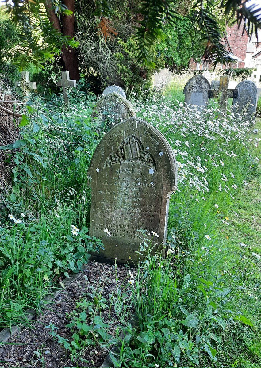 InscriptionsWw1's tweet image. #RememberedHere
Private Percy Cameron
Who fell in action in France 18 June 1917
Aged 21

"HIS DUTY NOBLY DONE"

#ColdstreamGuards

#StMargaretsChurch #WrenburycumFrith #Wrenbury #Cheshire

#WW1 #LestWeForget

(photo via @cheshire1418)

Online records via m.facebook.com/story.php?stor…