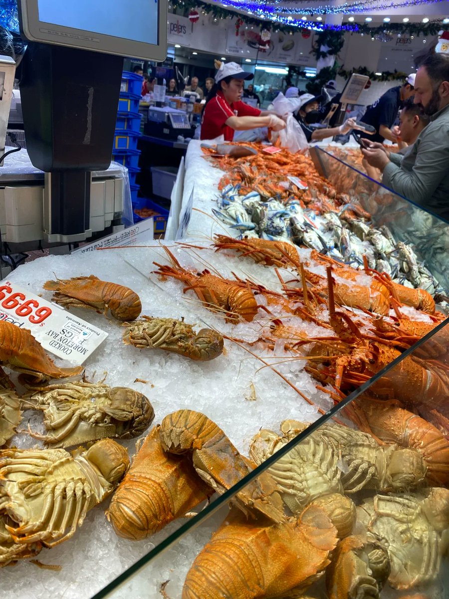 First time to Sydney fish market in the middle of the night😂😂😂