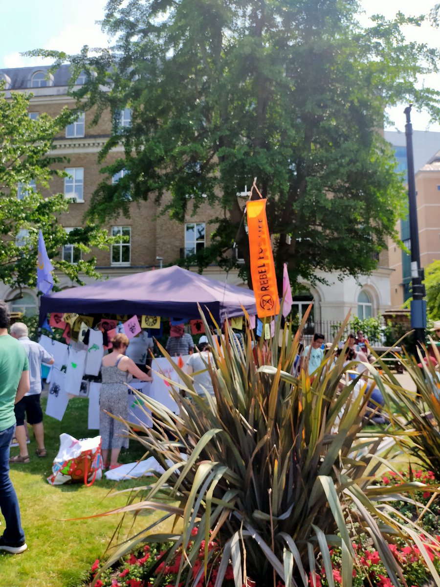 ER @XRebellionUK at @RdgWaterFest . Probably the most important stall here.

Come along and get involved

#rebelforlife #extinctionrebellion