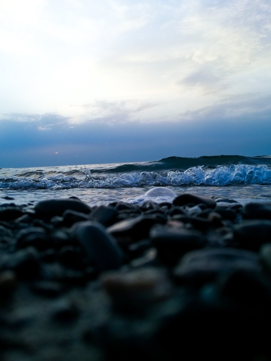 Don't ever underestimate the heart of a champion  <a href="/WoodrowIsaiah2/">feelingrekt.eth</a>  <a href="/JayJob40959268/">stabledogs.eth</a>  <a href="/Raymond57489232/">yashgupta.eth</a>