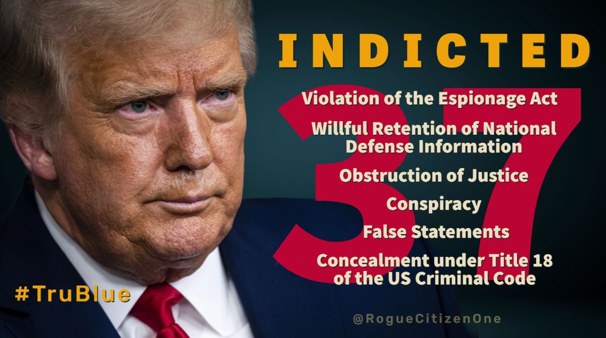 TruBlueIssues's tweet photo. Trump Indicted - 37 Counts
#TruBlue Issue Graphics https://t.co/SVG2e9VFGl