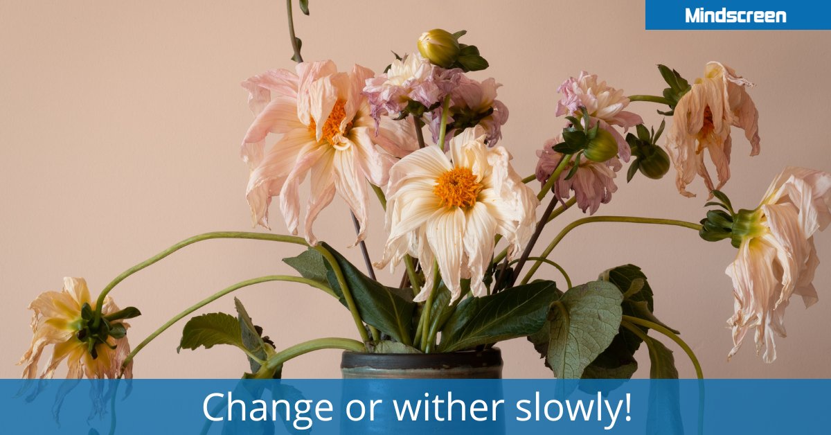 MindscreenLtd's tweet image. Is change scary or liberating? Both in my experience, but that is not all…. Read more here: mindscreen.com/change-or-with… #childrenswellbeing #mindscreen