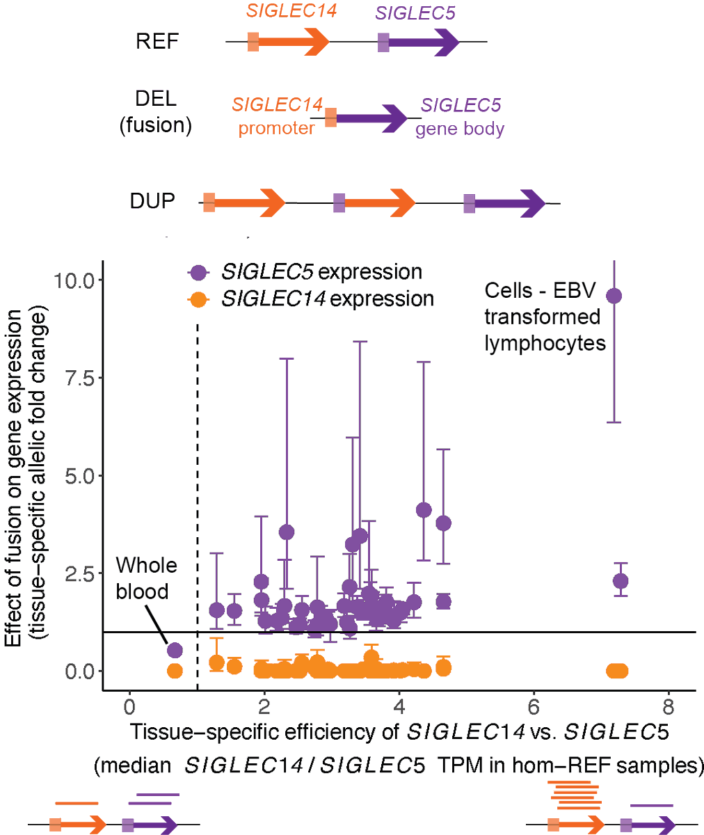 Margaux Hujoel tweet media