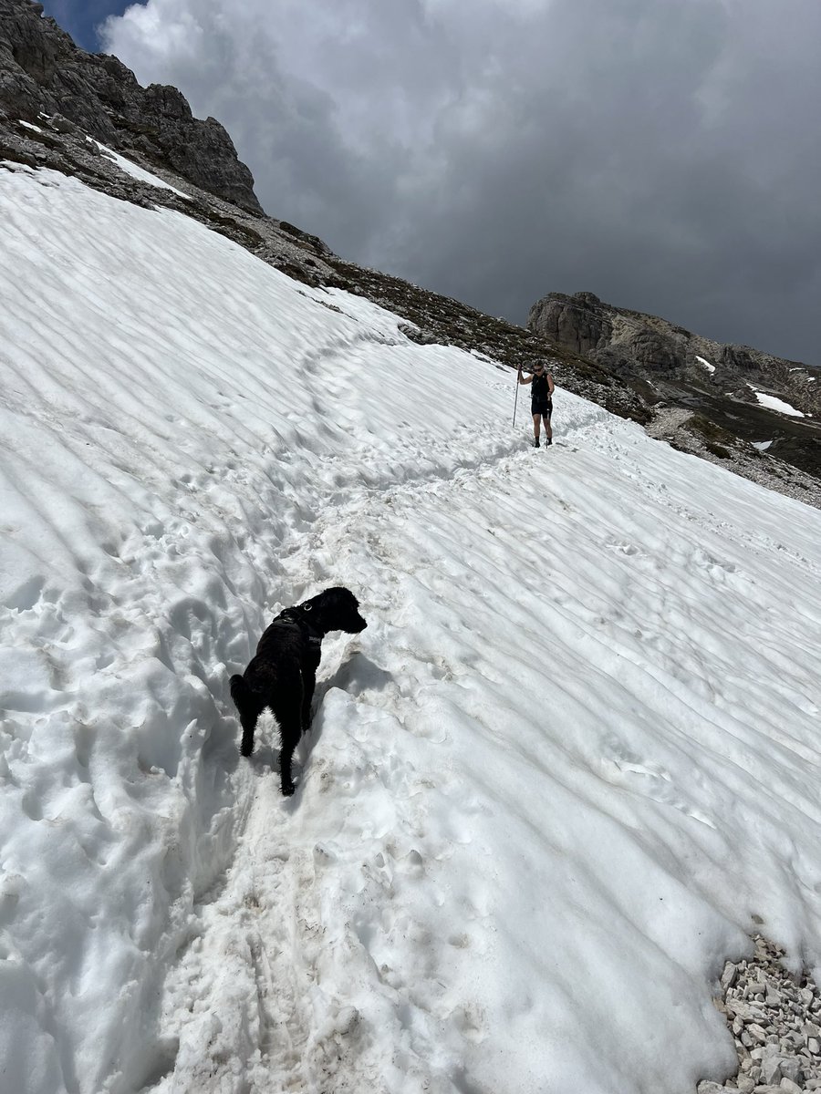 Off season hikes 🐕🏔️👌🏻