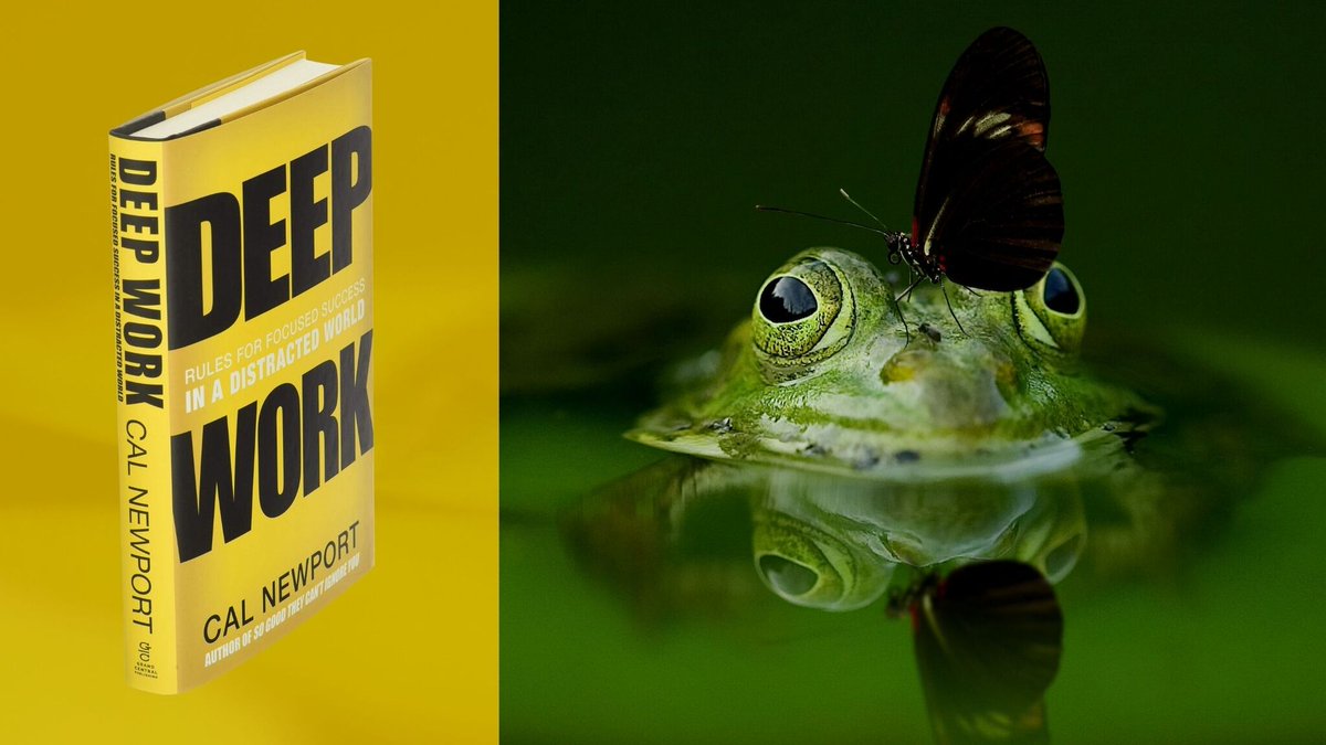 Deep Work is one of the most important books for freelancers right now. If you don't feel like you are being as productive as you could be, this post will help.

#deepwork #productivity #freelancing #freelance #freelancer #freelancers #focus #deepfocus

bit.ly/2Wnhugv